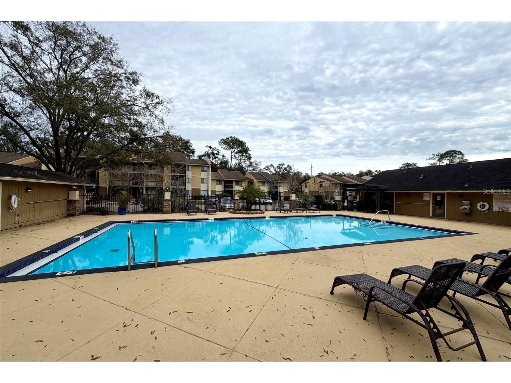 13367 Arbor Pointe Circle #304 Tampa FL 33617 TB8465628 image17