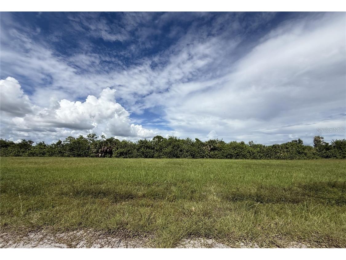 13368 Alewife Lane Placida FL 33946 C7515061 image1