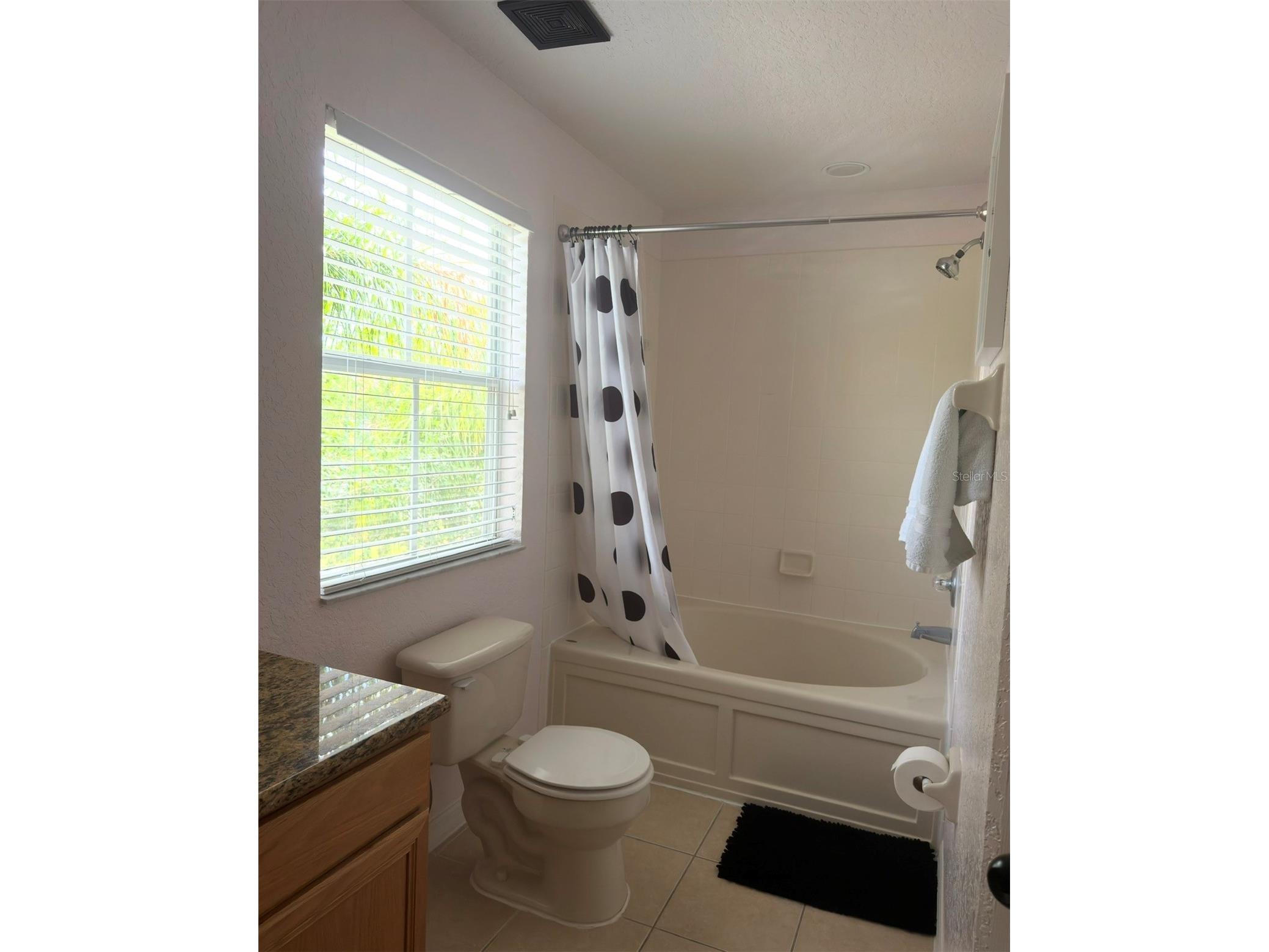 1337 Calabria Avenue Davenport FL 33897 O6414272 image42