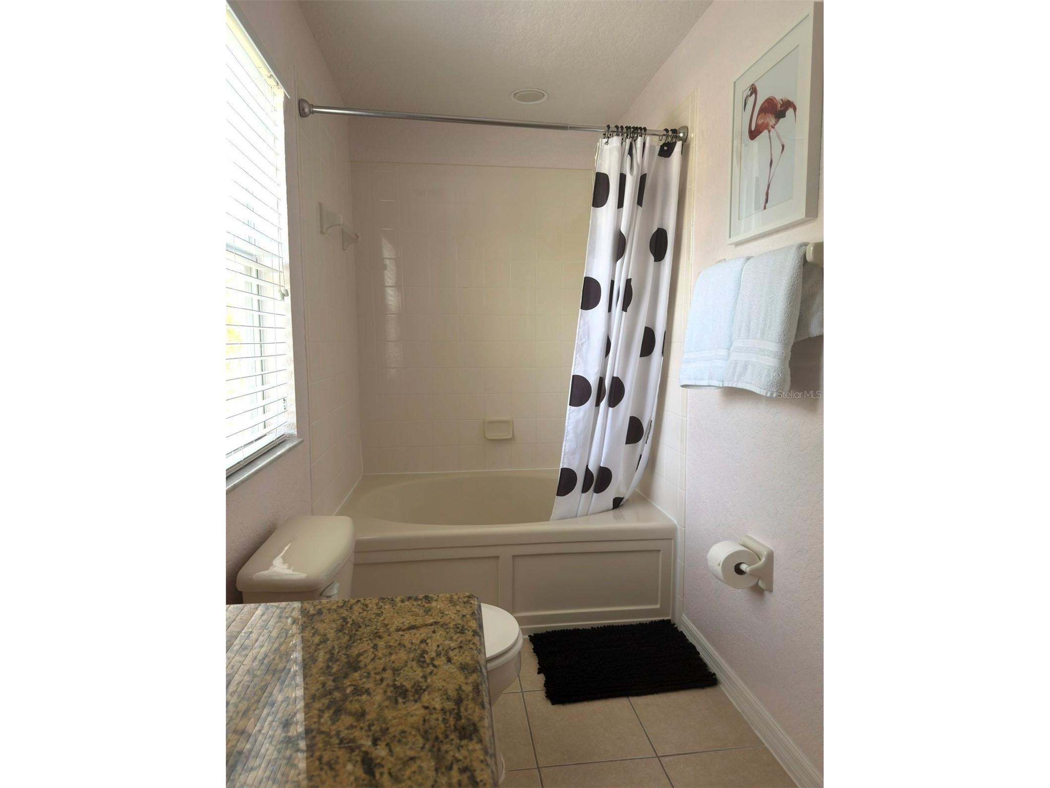 1337 Calabria Avenue Davenport FL 33897 O6414272 image43