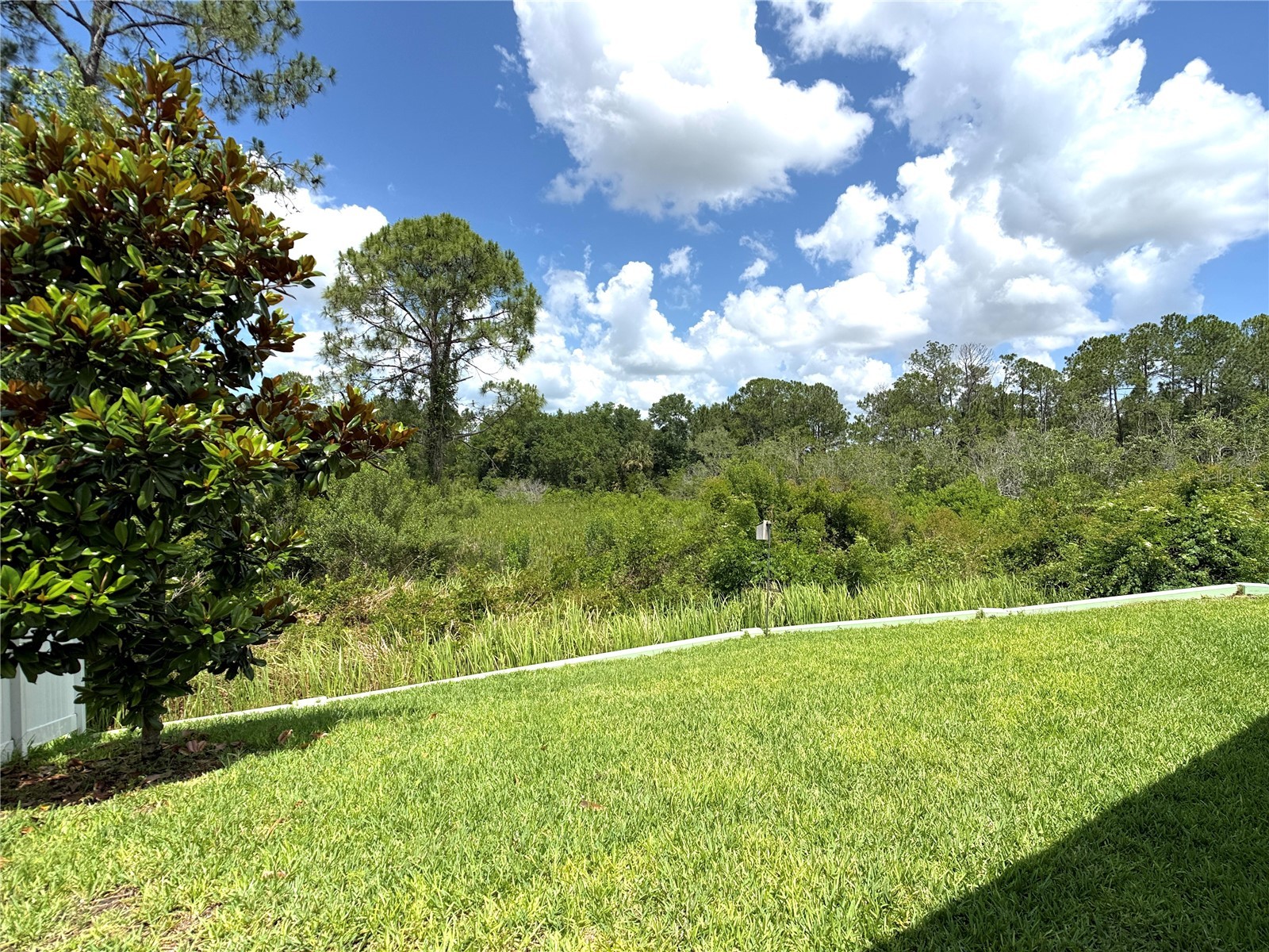 1337 Cascade Drive Davenport FL 33837 O6409932 image24