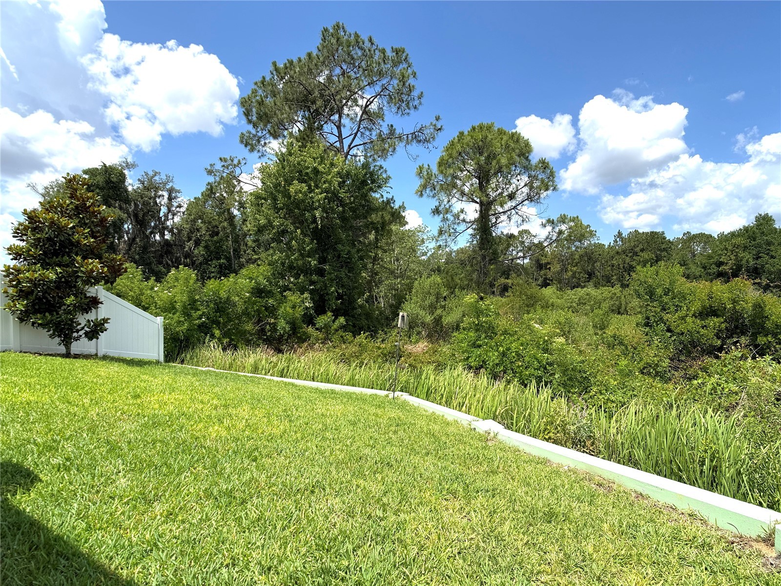 1337 Cascade Drive Davenport FL 33837 O6409932 image25