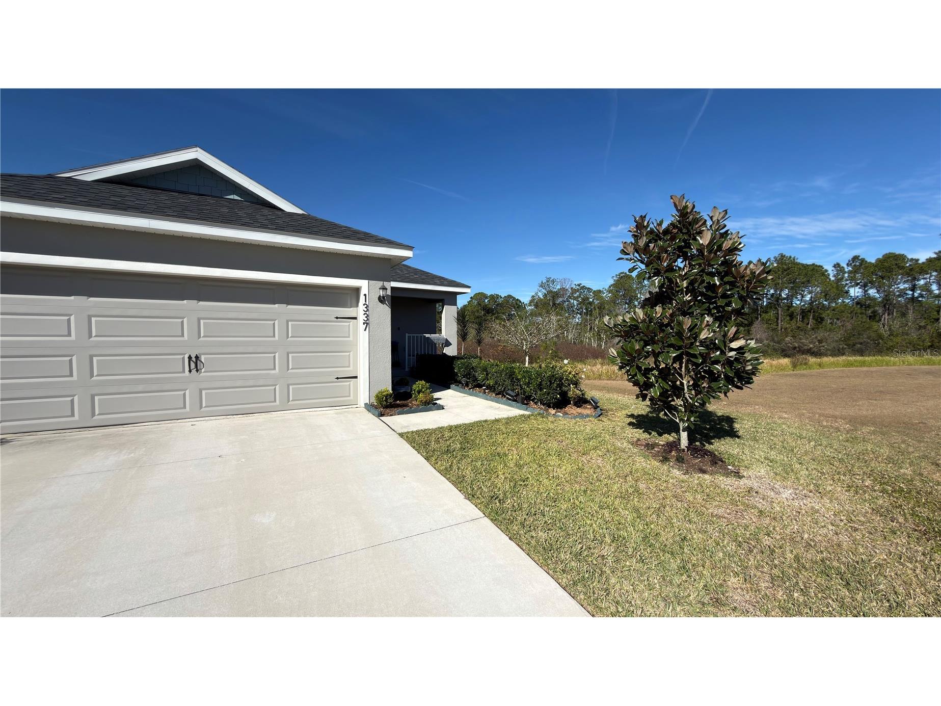 1337 Cascade Drive Davenport FL 33837 S5141969 image3