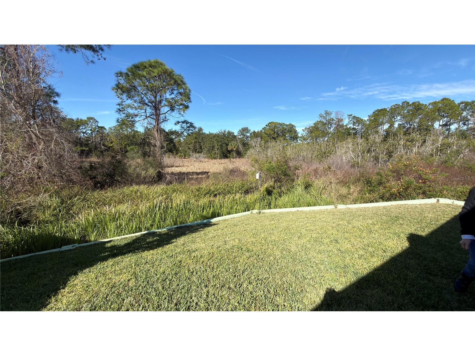 1337 Cascade Drive Davenport FL 33837 S5141969 image4