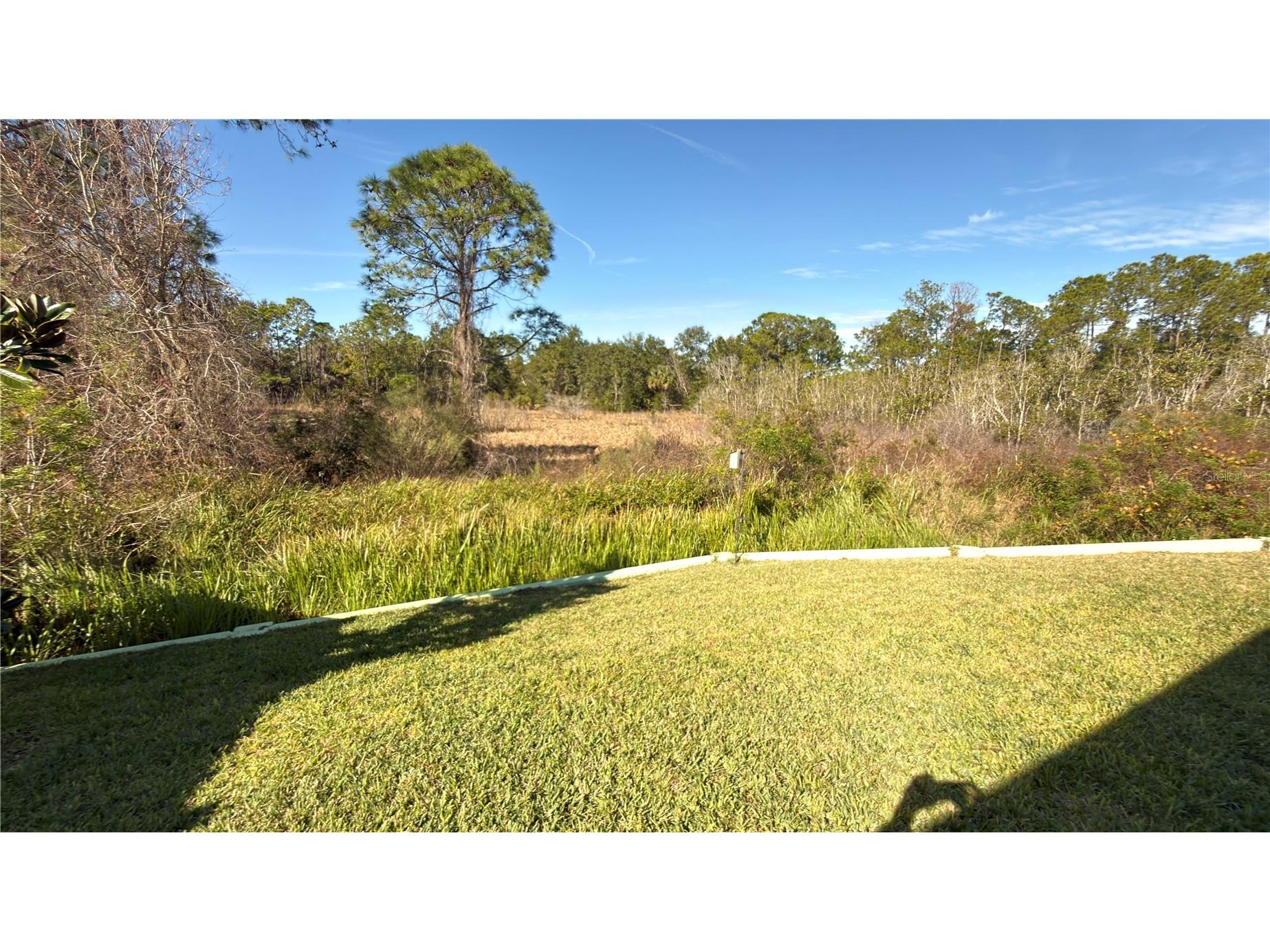 1337 Cascade Drive Davenport FL 33837 S5141969 image5