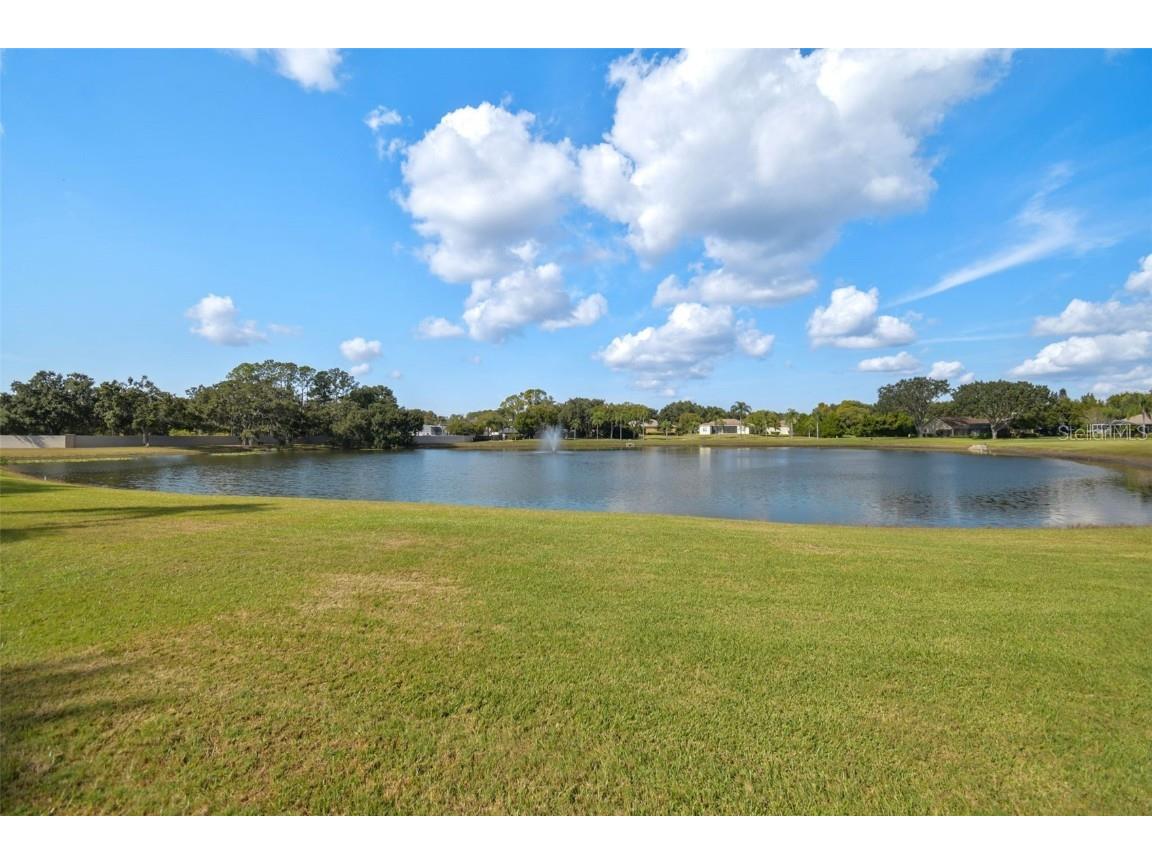 1337 Fishing Lake Drive Odessa FL 33556 TB8448705 image35