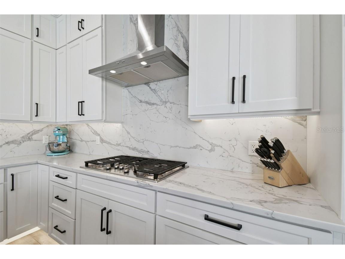 1337 Fishing Lake Drive Odessa FL 33556 TB8448705 image7