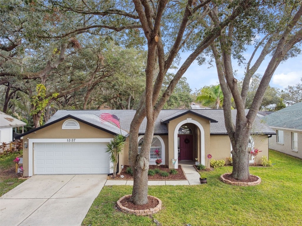 1337 Gangplank Drive Valrico FL 33594 TB8352695 image1