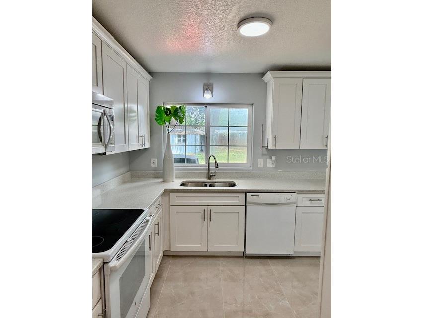 1337 Lake Asher Circle Apopka FL 32703 O6395389 image3