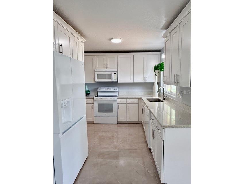 1337 Lake Asher Circle Apopka FL 32703 O6395389 image5