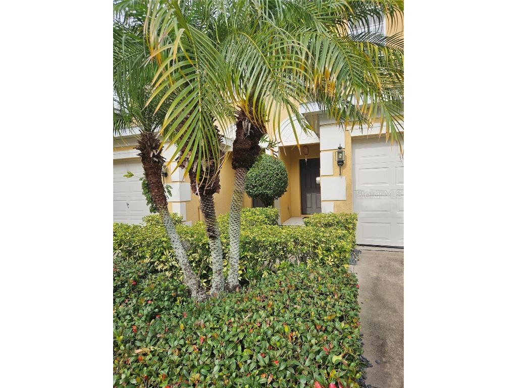 13371 Daniels Landing Circle Winter Garden FL 34787 U8226964 image1