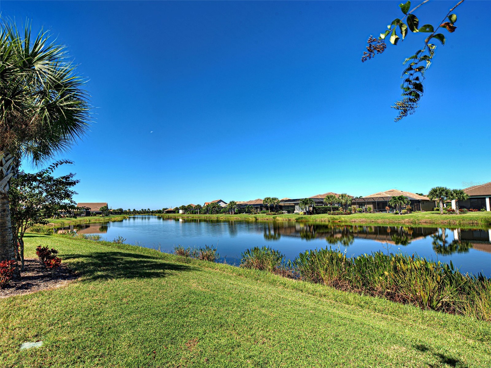13374 Verandi Street Venice FL 34293 N6144563 image4
