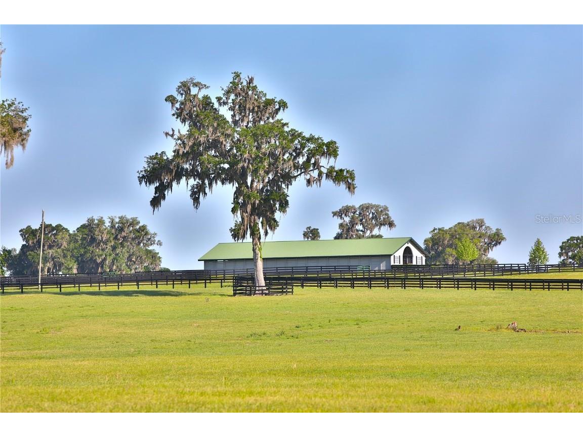 13375 W Highway 318 Williston FL 32696 OM692794 image10