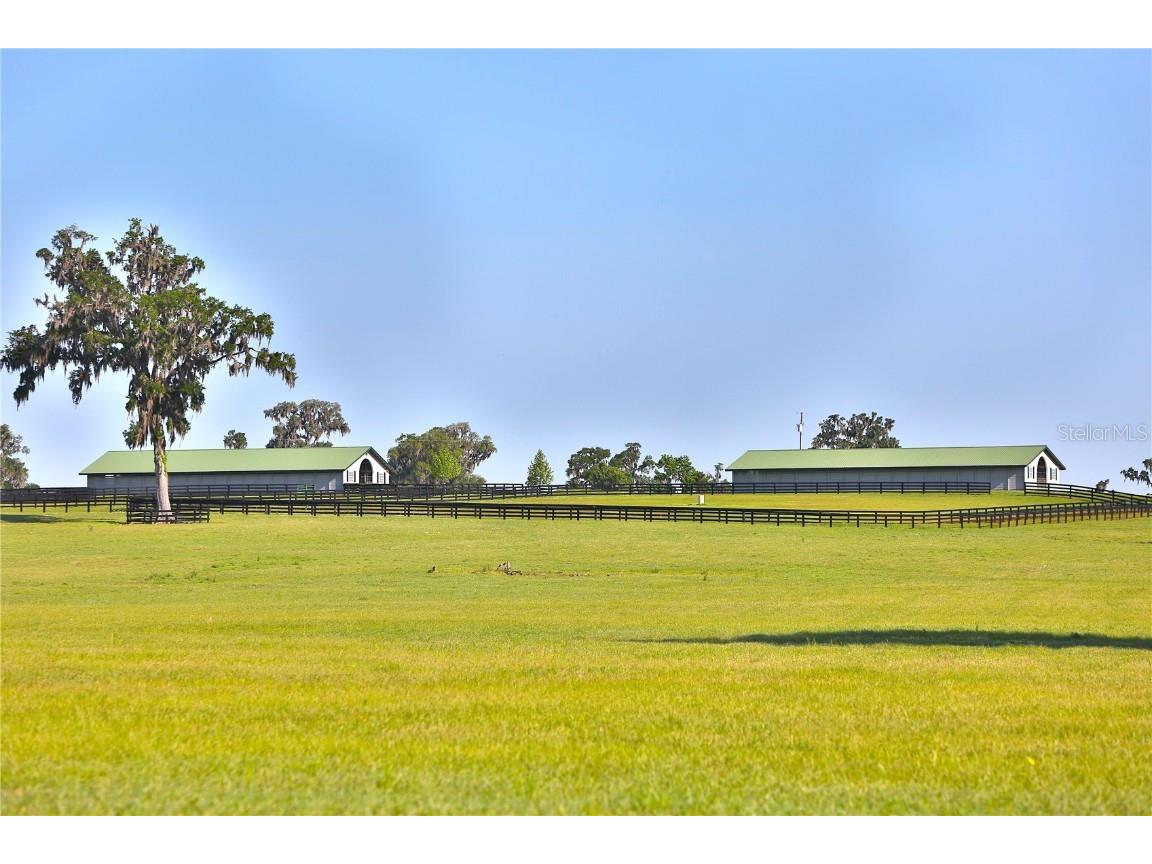 13375 W Highway 318 Williston FL 32696 OM692794 image12