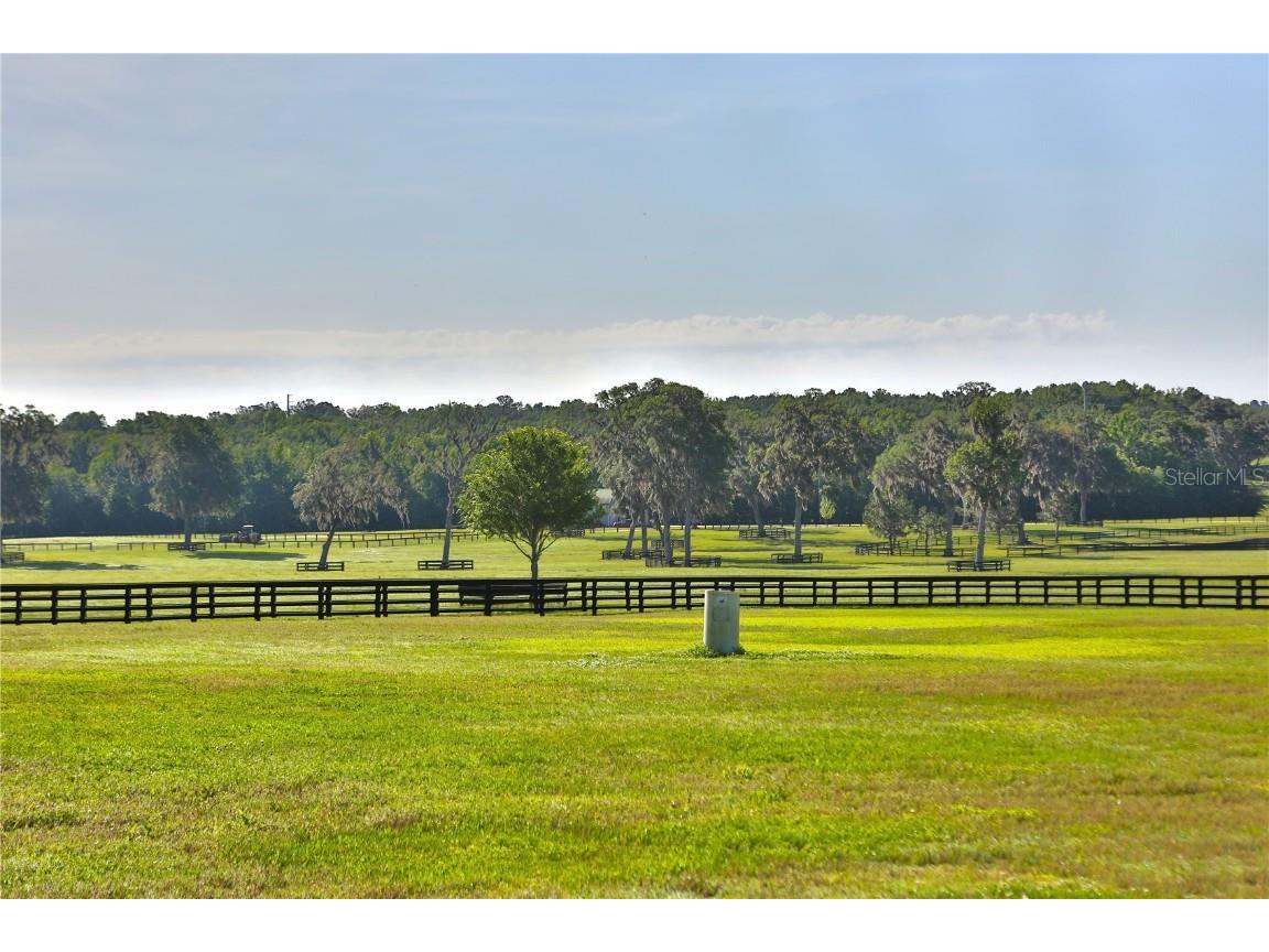 13375 W Highway 318 Williston FL 32696 OM692794 image18