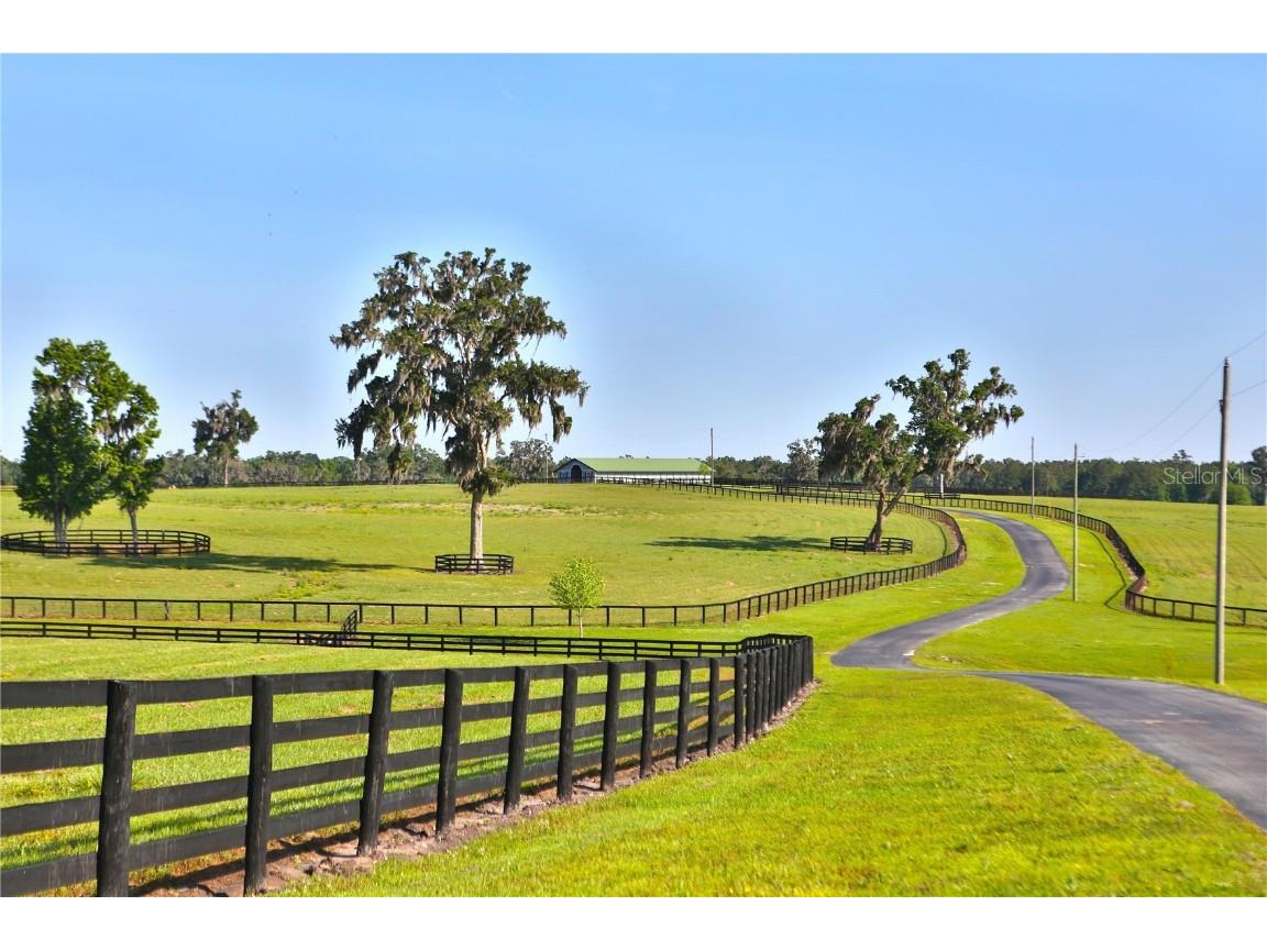 13375 W Highway 318 Williston FL 32696 OM692794 image19