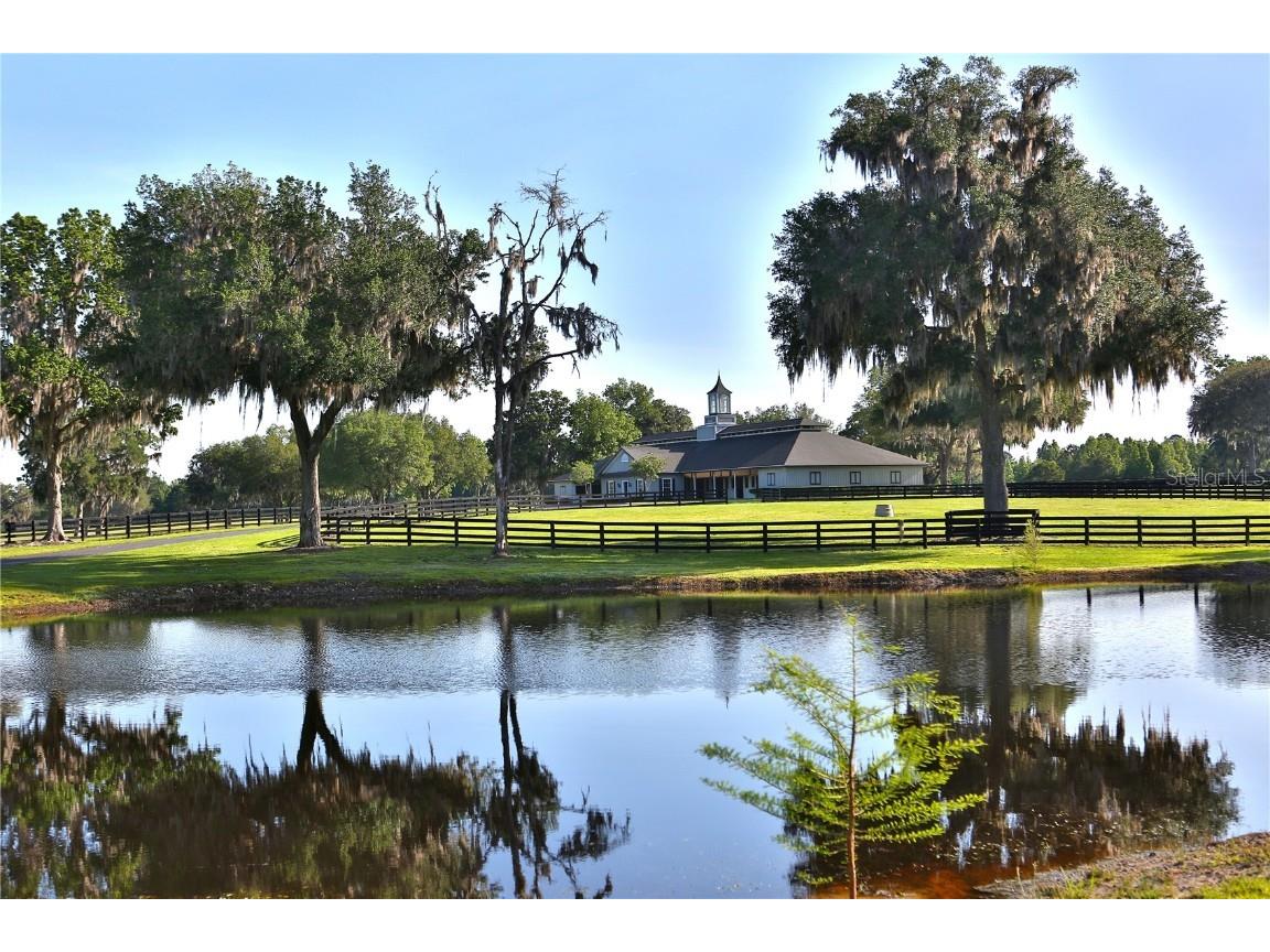 13375 W Highway 318 Williston FL 32696 OM692794 image2