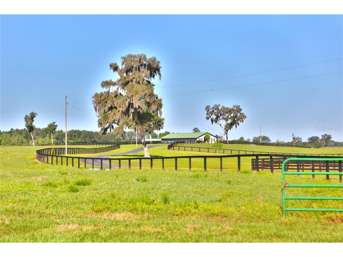 13375 W Highway 318 Williston FL 32696 OM692794 image21