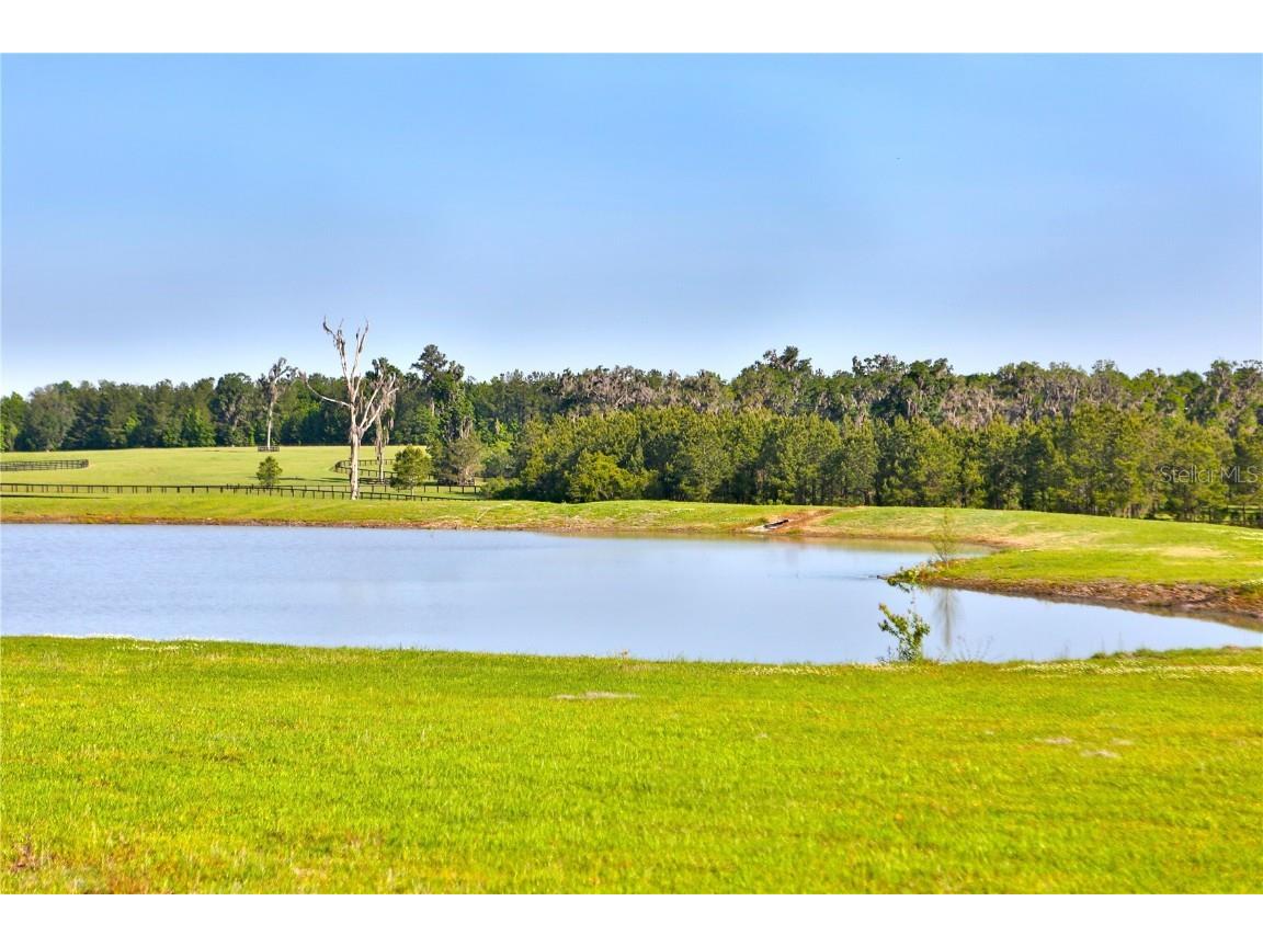13375 W Highway 318 Williston FL 32696 OM692794 image22