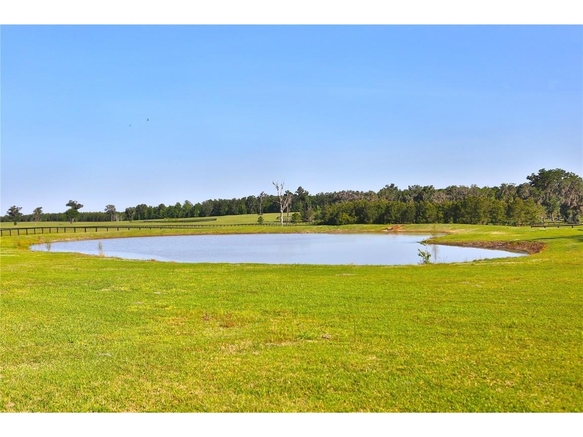 13375 W Highway 318 Williston FL 32696 OM692794 image23