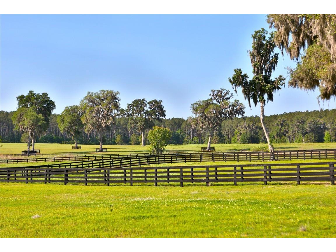 13375 W Highway 318 Williston FL 32696 OM692794 image27