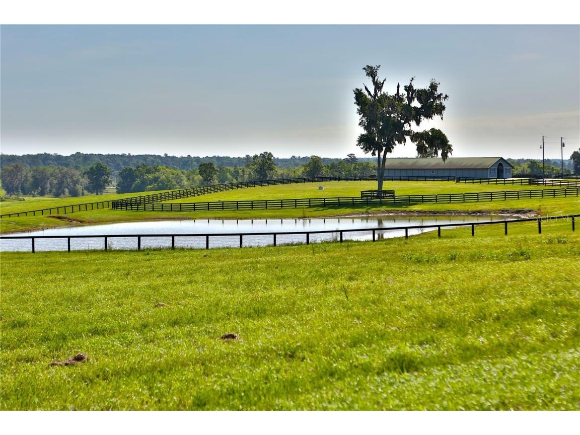 13375 W Highway 318 Williston FL 32696 OM692794 image29