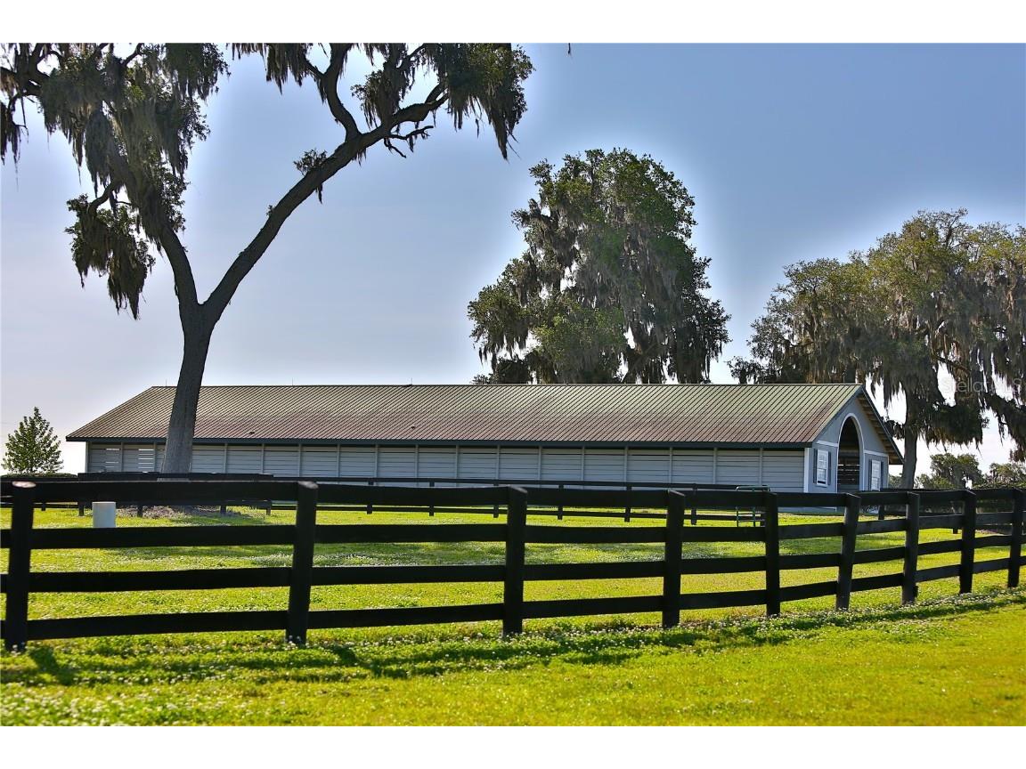 13375 W Highway 318 Williston FL 32696 OM692794 image31