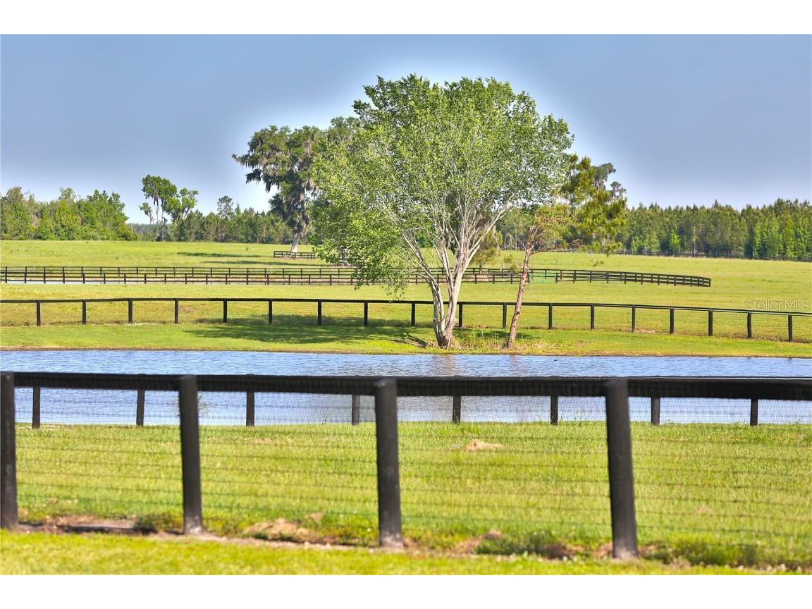 13375 W Highway 318 Williston FL 32696 OM692794 image33