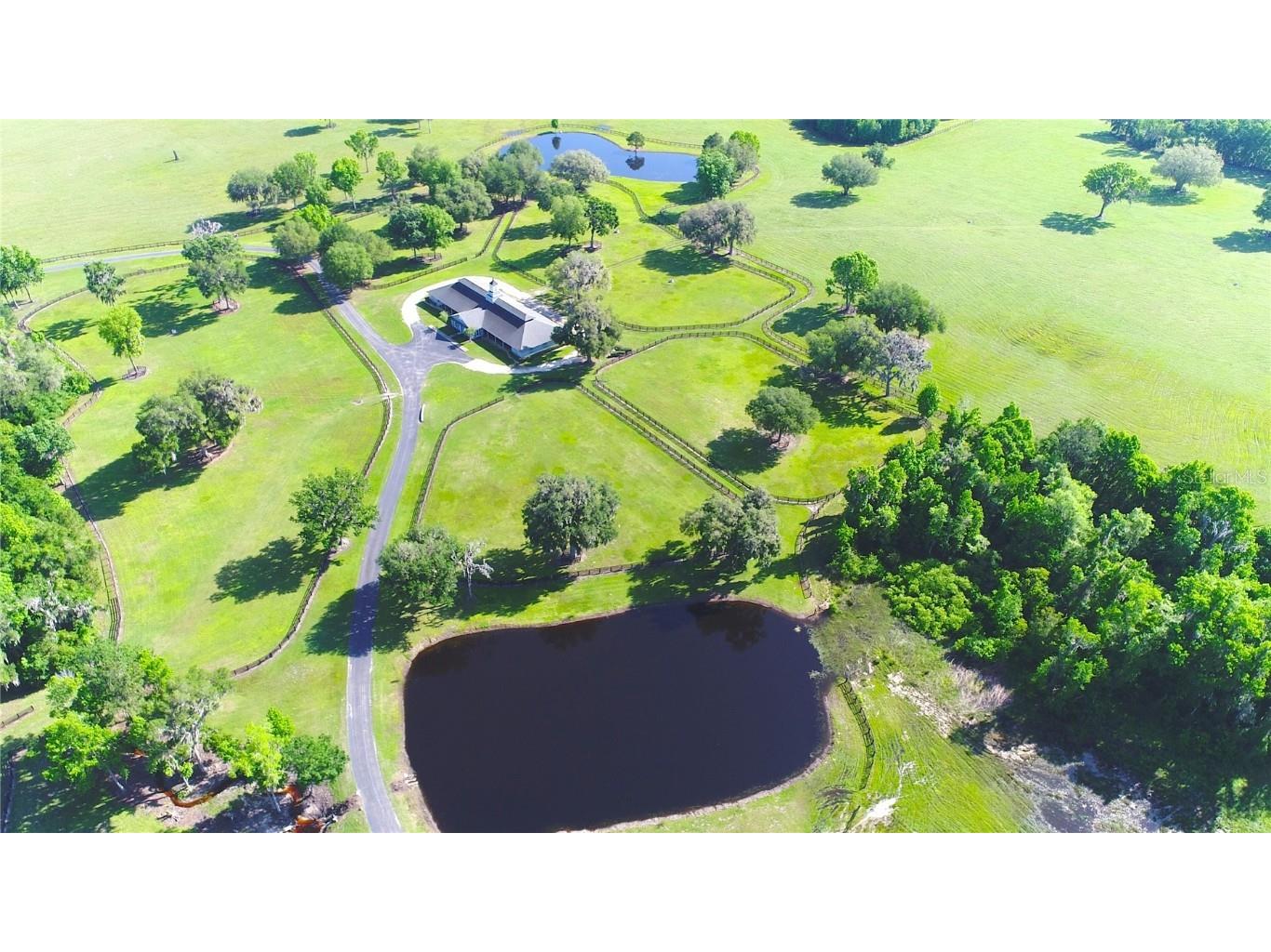 13375 W Highway 318 Williston FL 32696 OM692794 image34