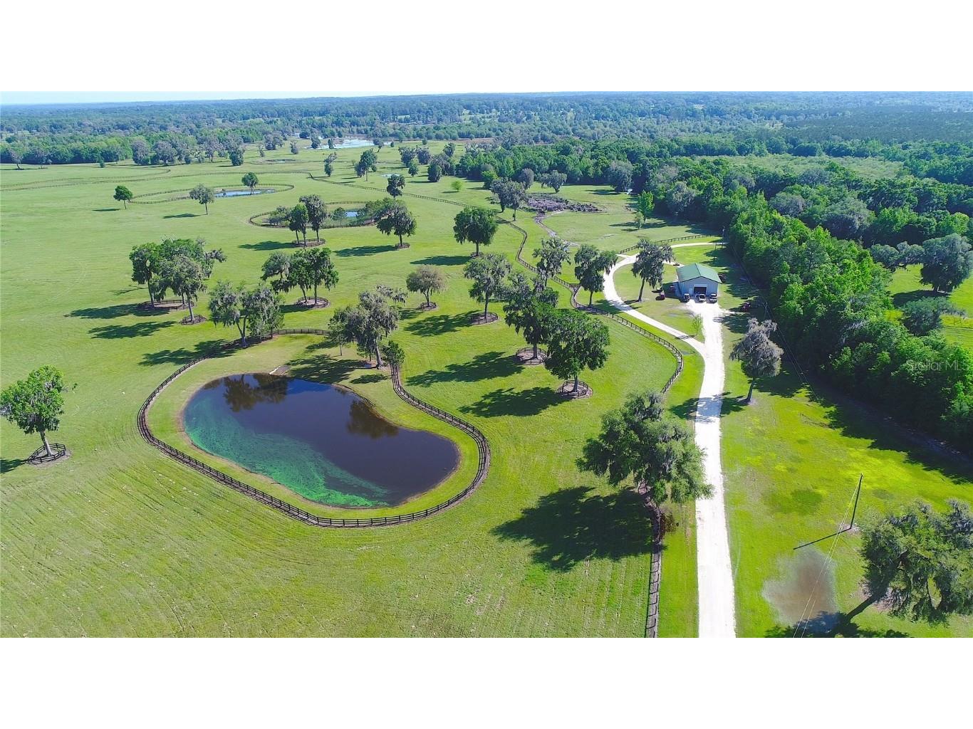 13375 W Highway 318 Williston FL 32696 OM692794 image38