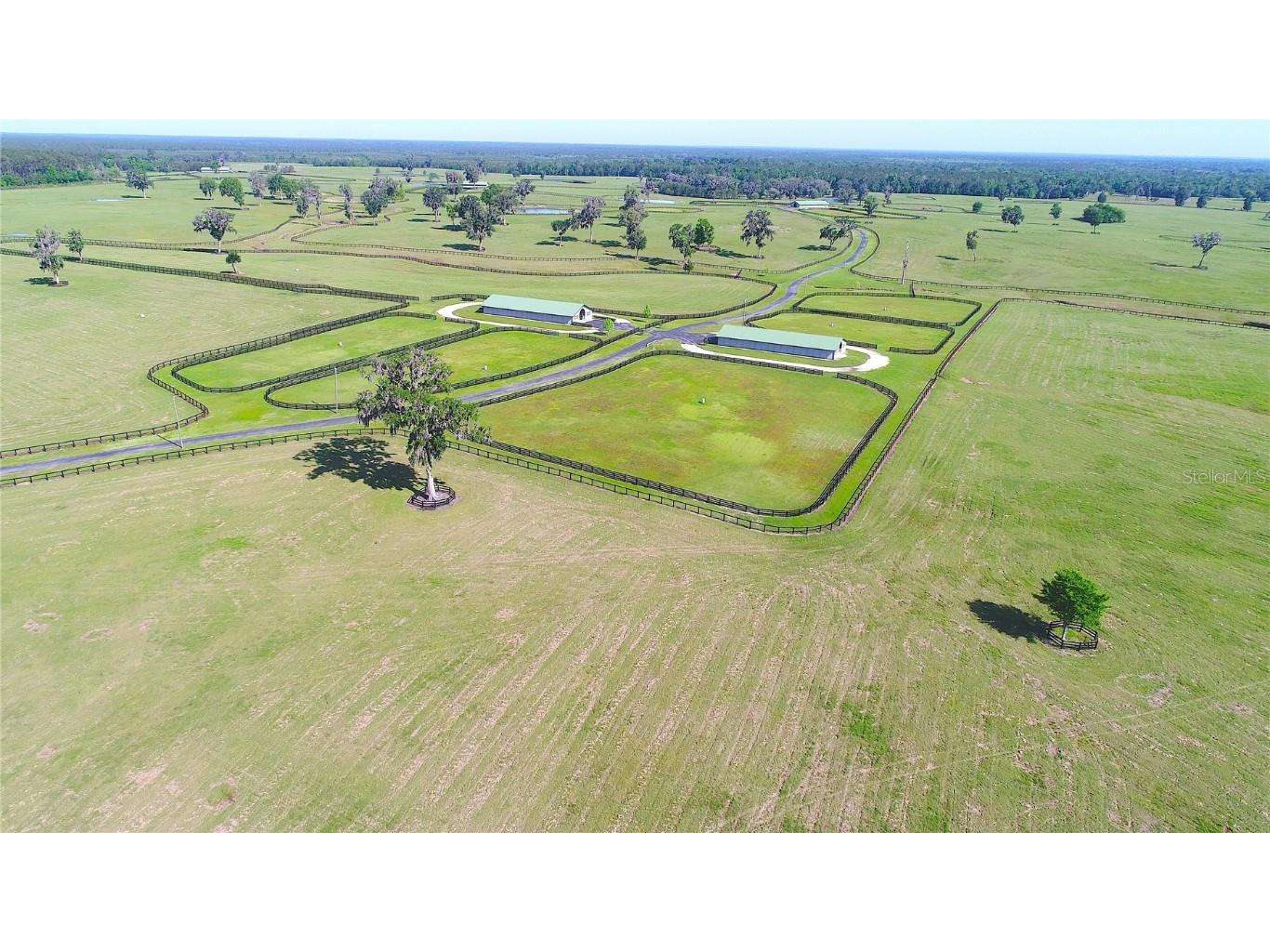 13375 W Highway 318 Williston FL 32696 OM692794 image39