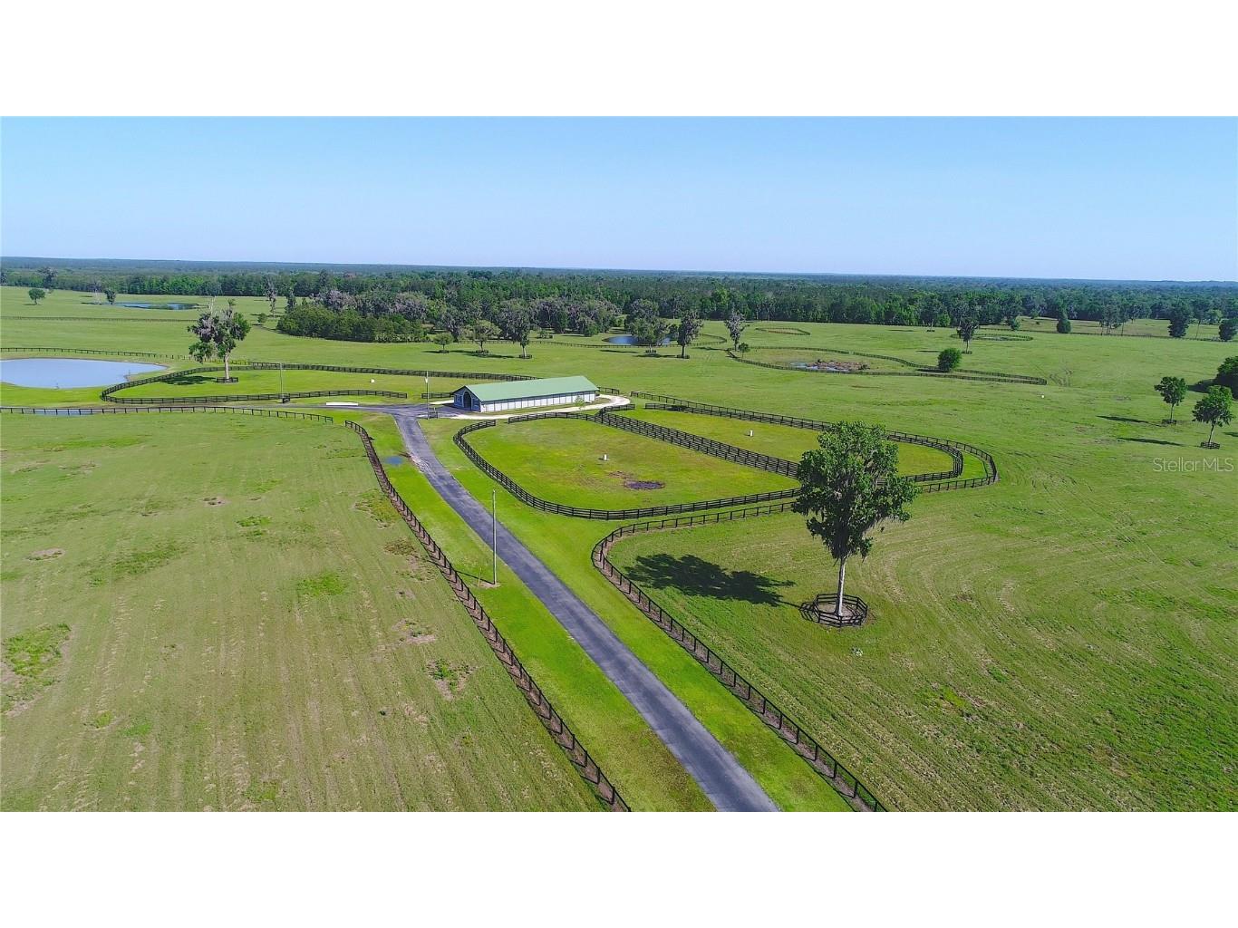 13375 W Highway 318 Williston FL 32696 OM692794 image41