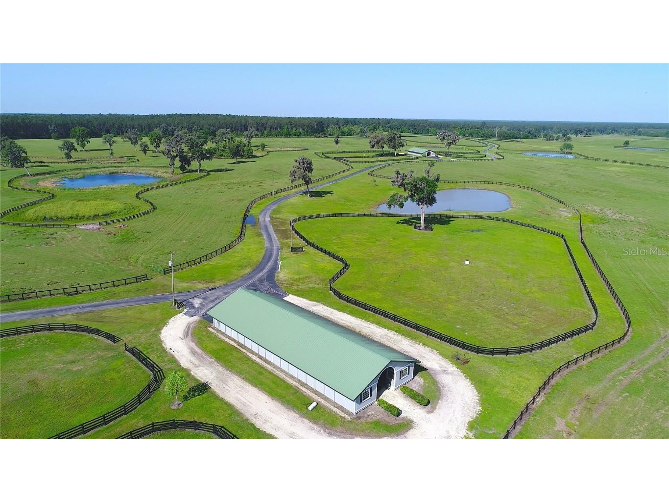 13375 W Highway 318 Williston FL 32696 OM692794 image42