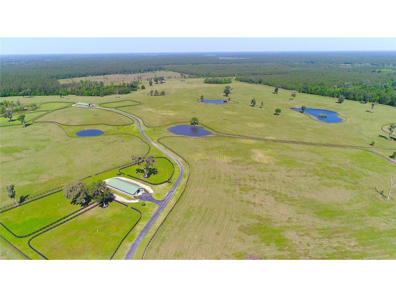 13375 W Highway 318 Williston FL 32696 OM692794 image52