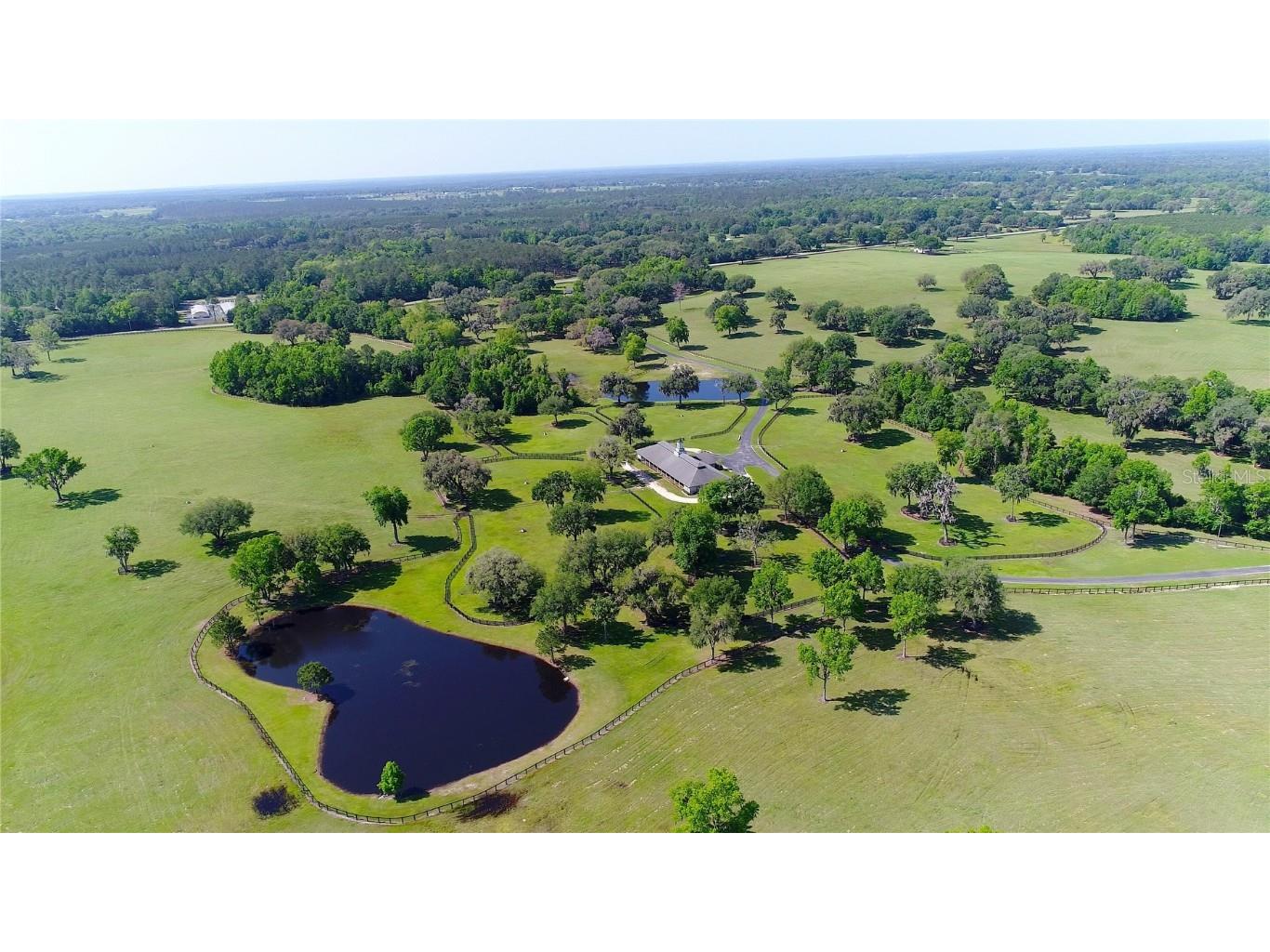 13375 W Highway 318 Williston FL 32696 OM692794 image53