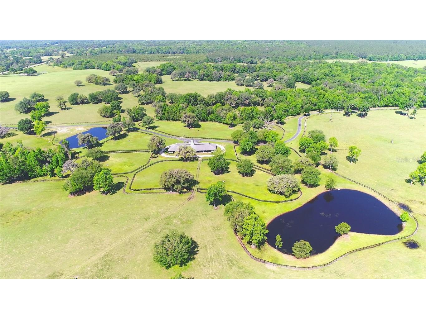 13375 W Highway 318 Williston FL 32696 OM692794 image55