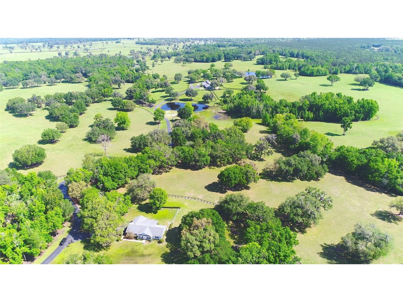 13375 W Highway 318 Williston FL 32696 OM692794 image56