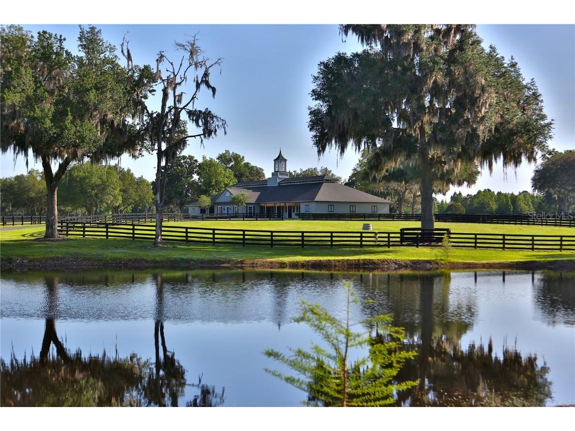 13375 W Highway 318 Williston FL 32696 OM692794 image6