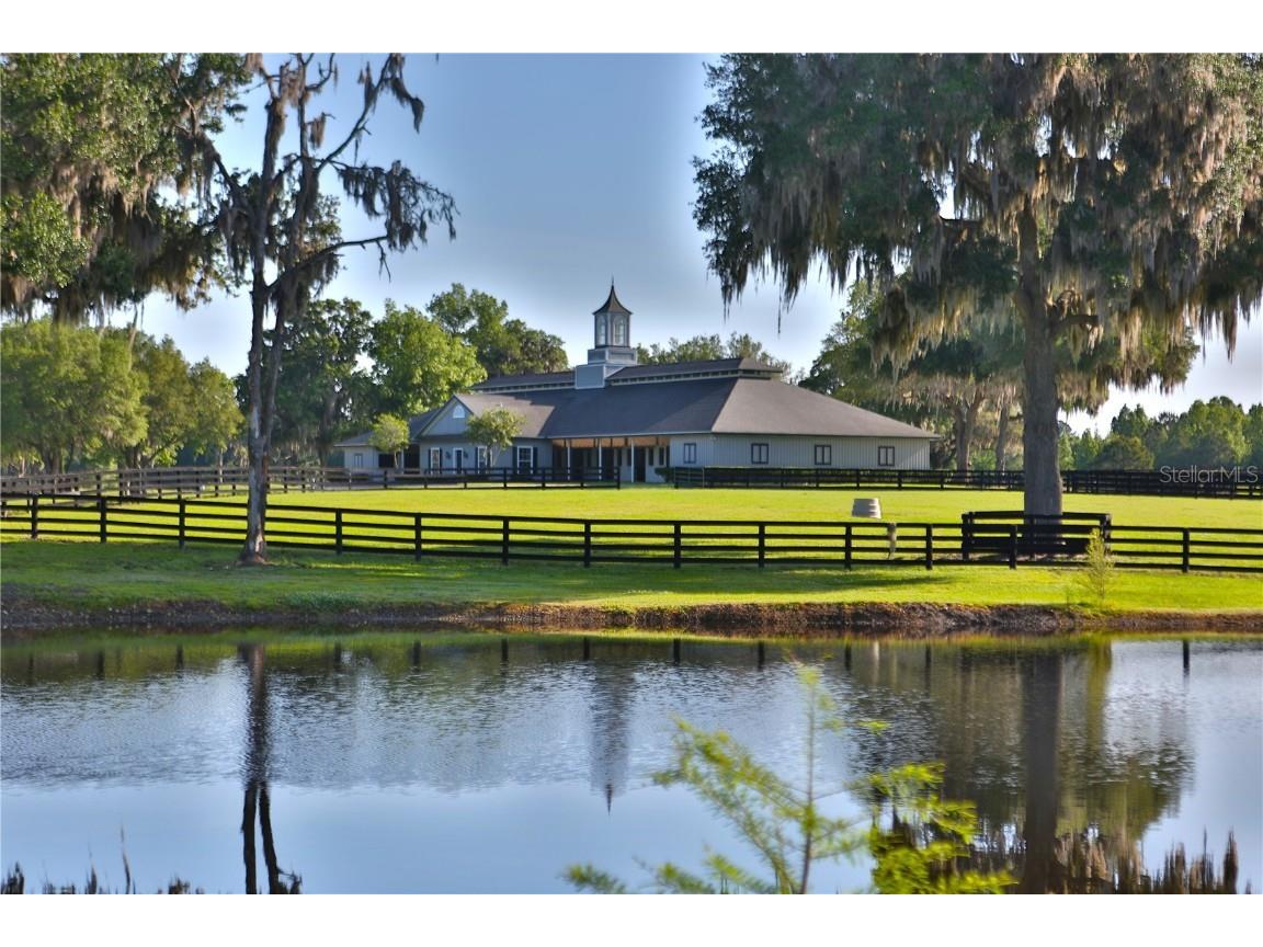 13375 W Highway 318 Williston FL 32696 OM692794 image7