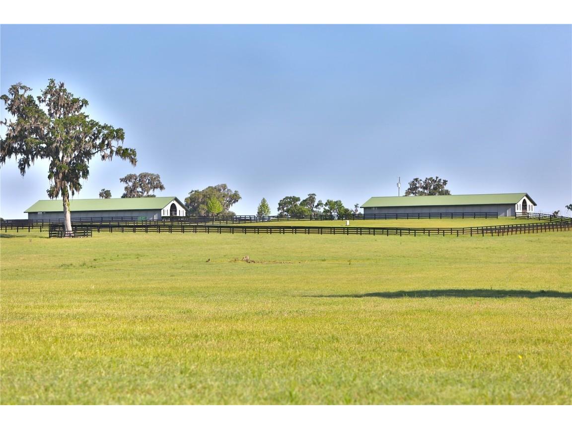 13375 W Highway 318 Williston FL 32696 OM692794 image9