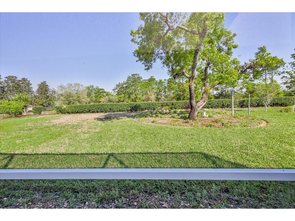 13377 Bolton Court Spring Hill FL 34609 W7884279 image49