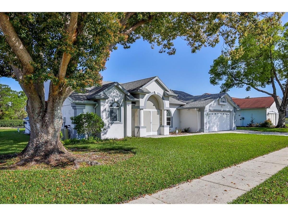13377 Bolton Court Spring Hill FL 34609 W7884279 image7