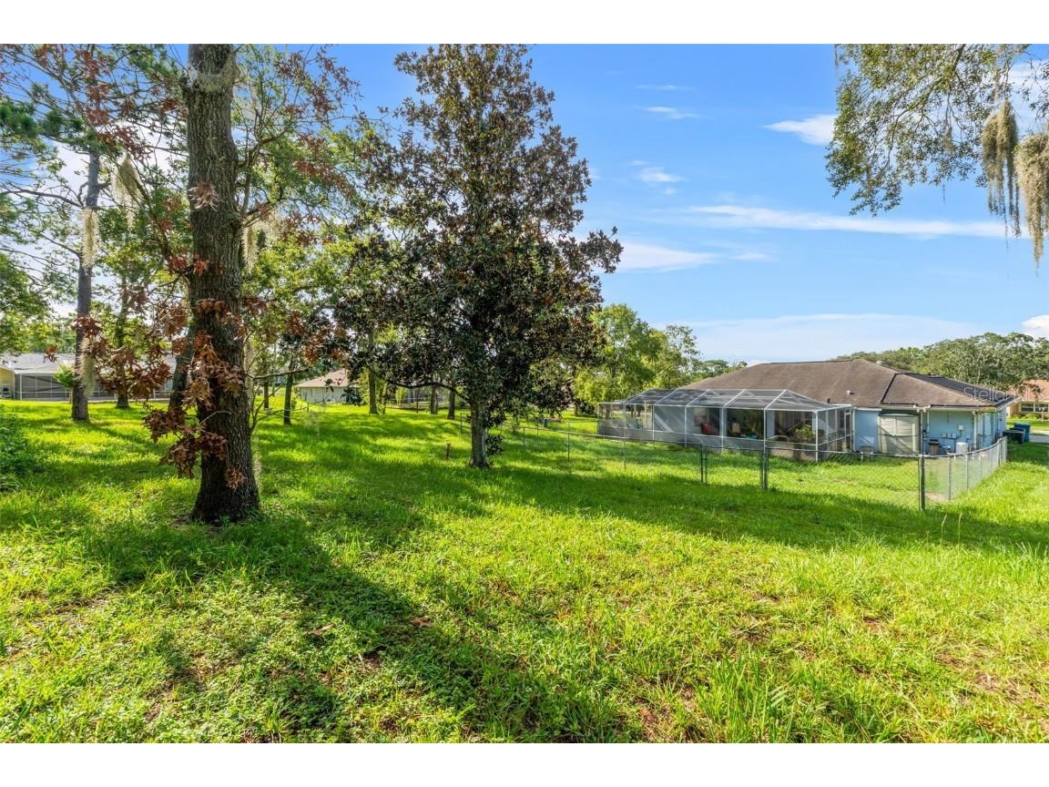 13377 Elise Lane Spring Hill FL 34609 W7877983 image25