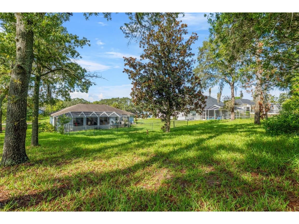 13377 Elise Lane Spring Hill FL 34609 W7877983 image26