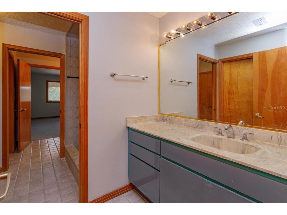 13377 Lake Butler Boulevard Winter Garden FL 34787 - LAKE ROPER O6303366 image21