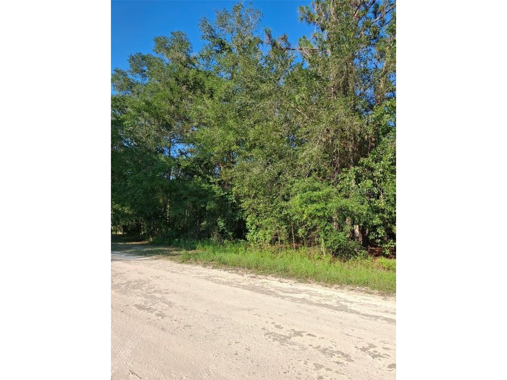 13378 Canyon Swallow Road Weeki Wachee FL 34614 TB8437149 image1