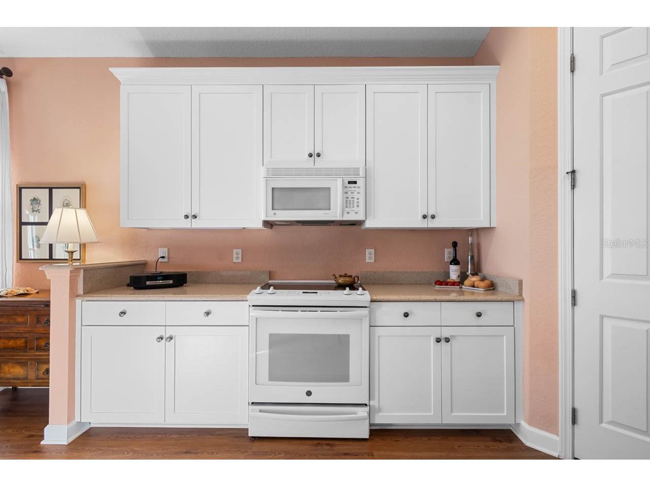 1338 Emerald Dunes Drive Sun City Center FL 33573 TB8461301 image10