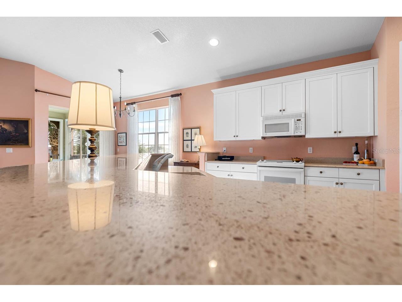 1338 Emerald Dunes Drive Sun City Center FL 33573 TB8461301 image14
