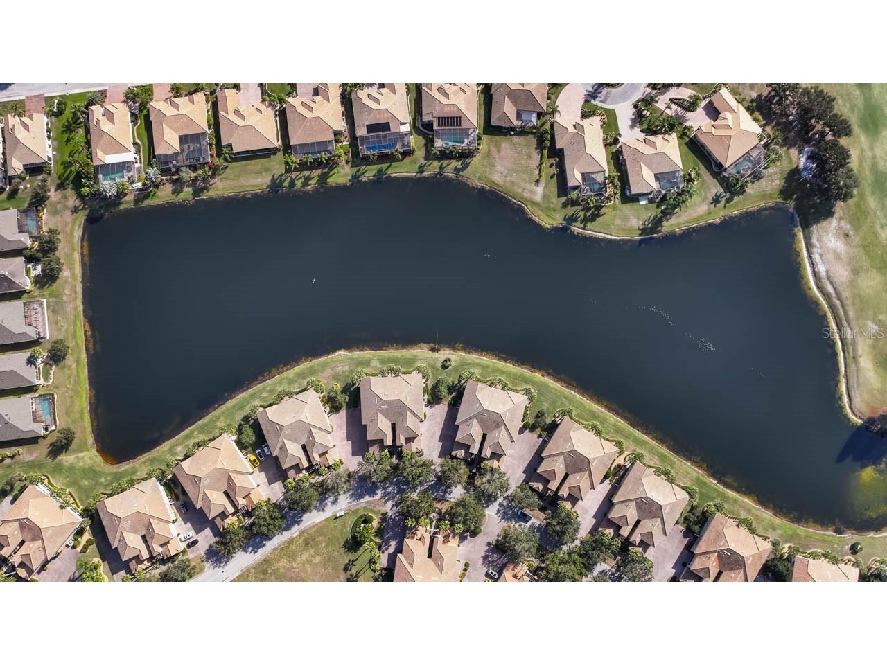 1338 Emerald Dunes Drive Sun City Center FL 33573 TB8461301 image53