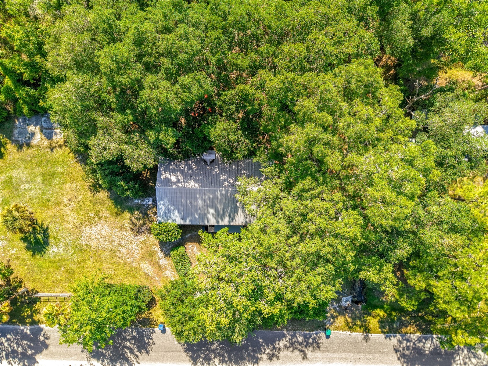 1338 Saint Nicholas Avenue Christmas FL 32709 L4961798 image40